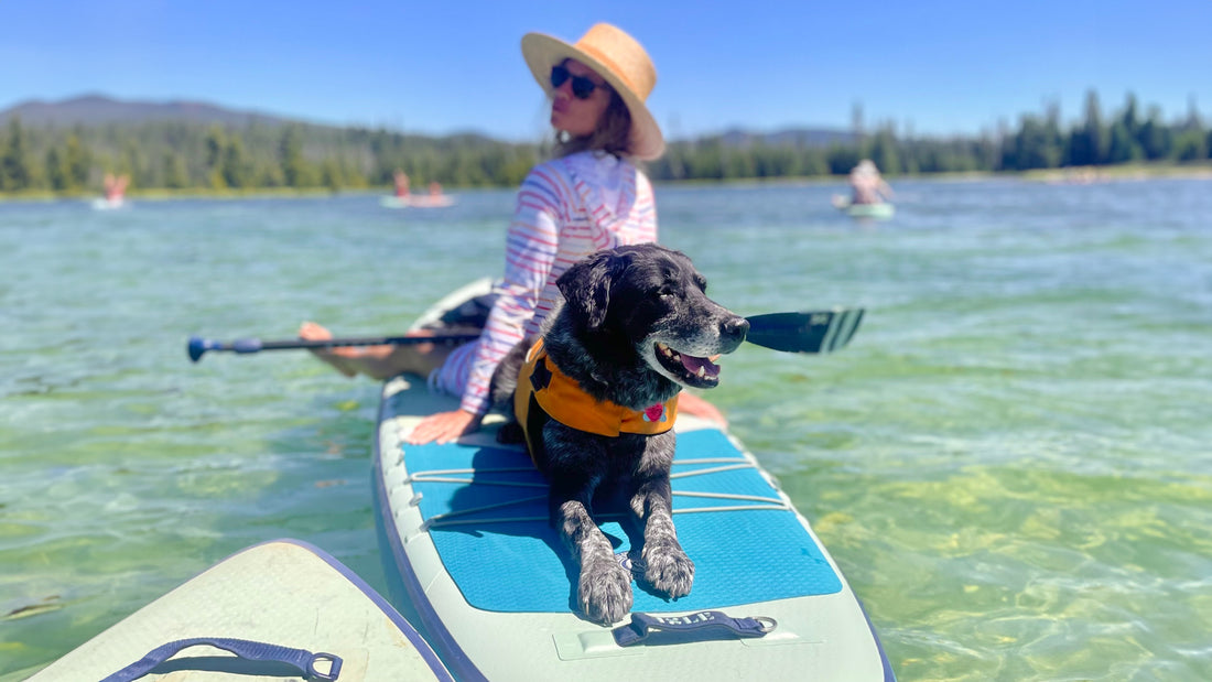 Why I Paddleboard