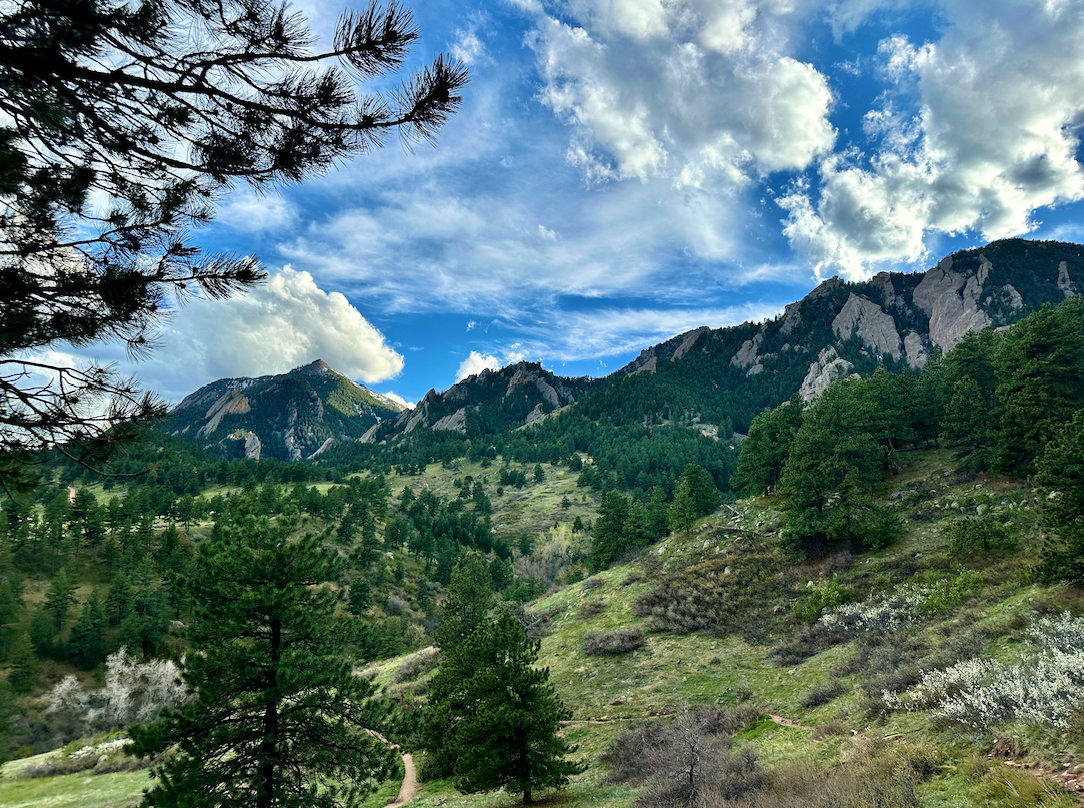 Our Go-To Spring Hikes in Boulder (By Difficulty Level)