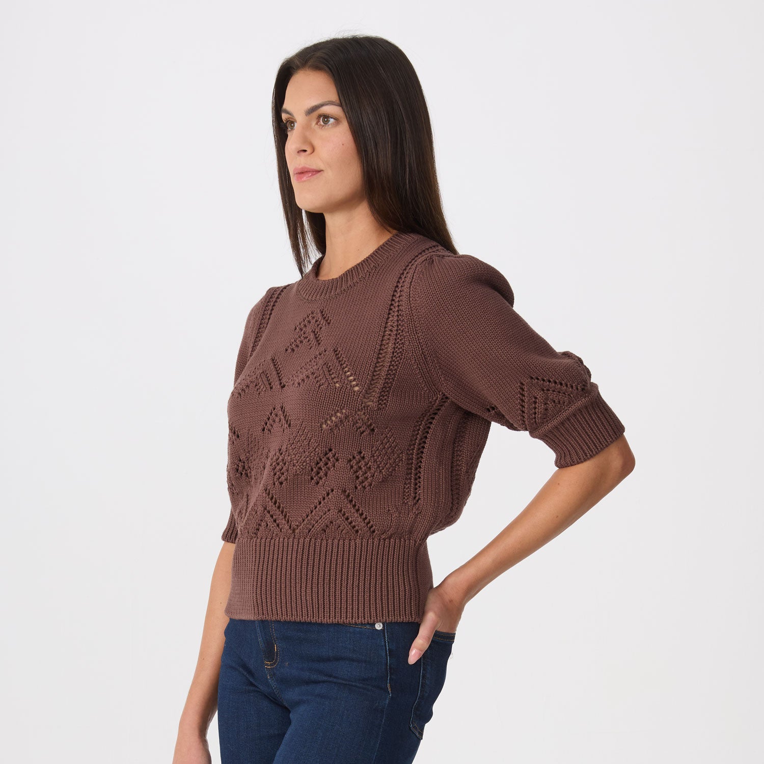 Clary Short Sleeve Pointelle Sweater